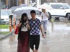 大哥微博求助网友：终于开窍送自己给小苍