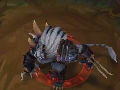 抛弃极限输出追求生存 半肉输出流雷恩加尔