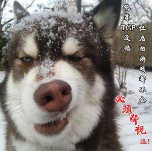 lol掌上TGP功能介绍 lol掌上TGP怎么使用