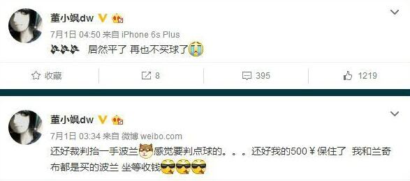 刘珊珊董小飒_董小飒收入(2)