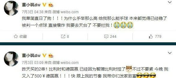 刘珊珊董小飒_董小飒收入(2)