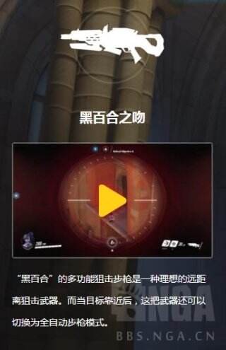 路人局各英雄养成计划之黑百合新手向攻略