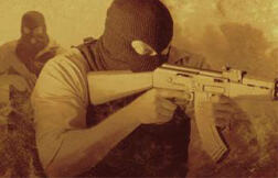 csgo怎么查kd？CSGO个人数据网站帮你查KD